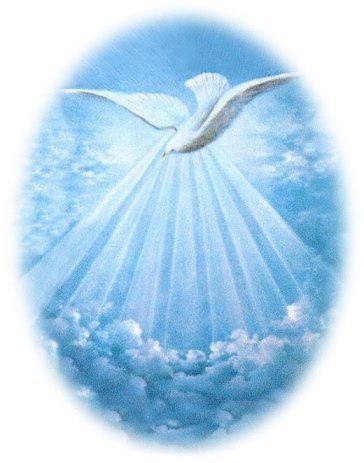 Obituary of Damian Adam Negrete