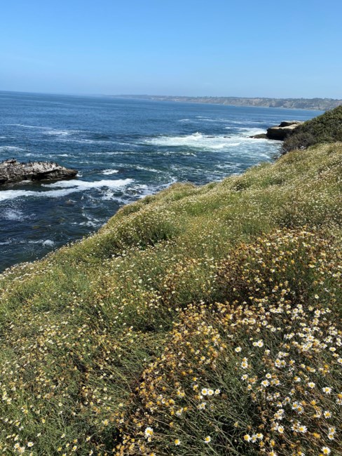 Obituary of Jesus Ruiz