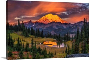 Obituary of Eugene Darnell Ferro