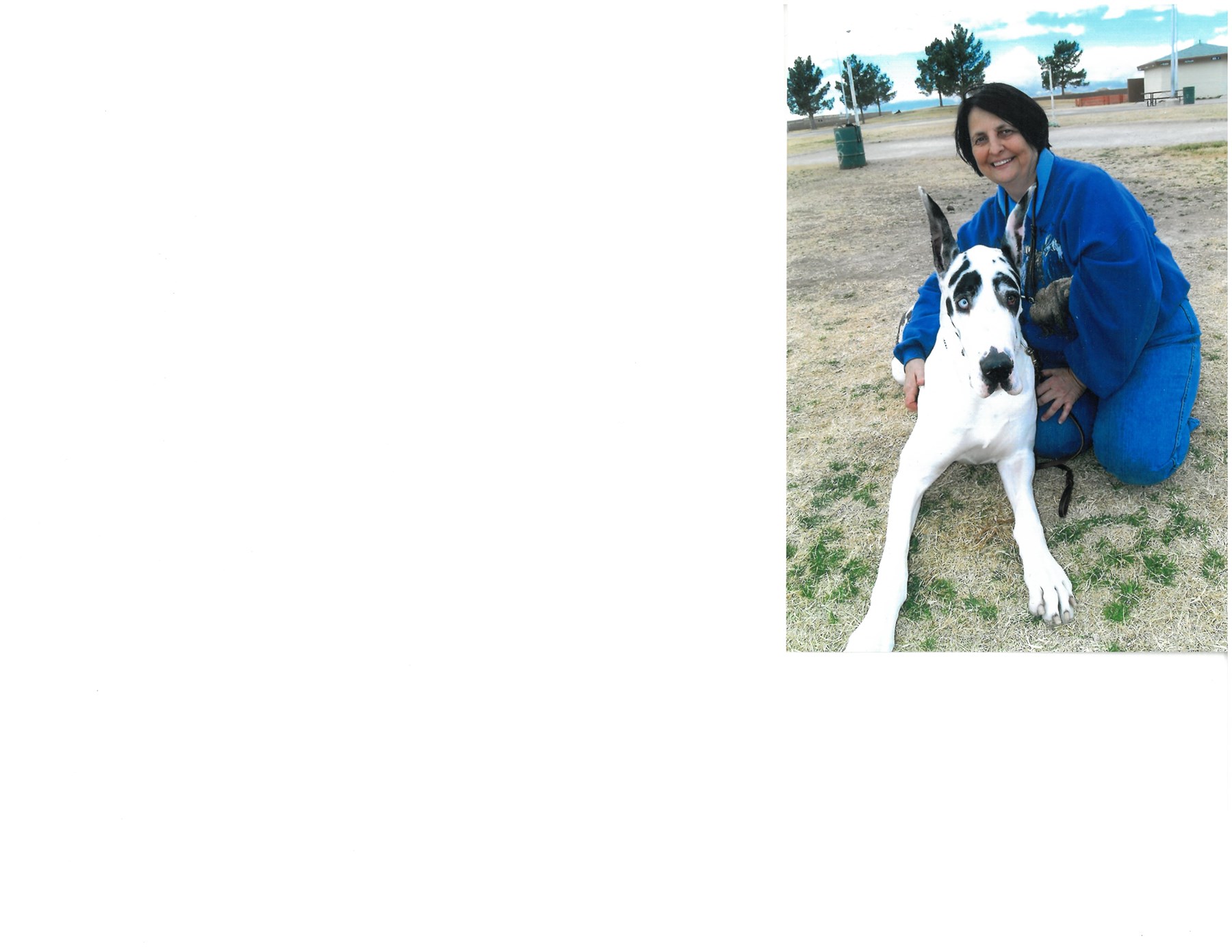 Obituary of Claire Ann Hazlett