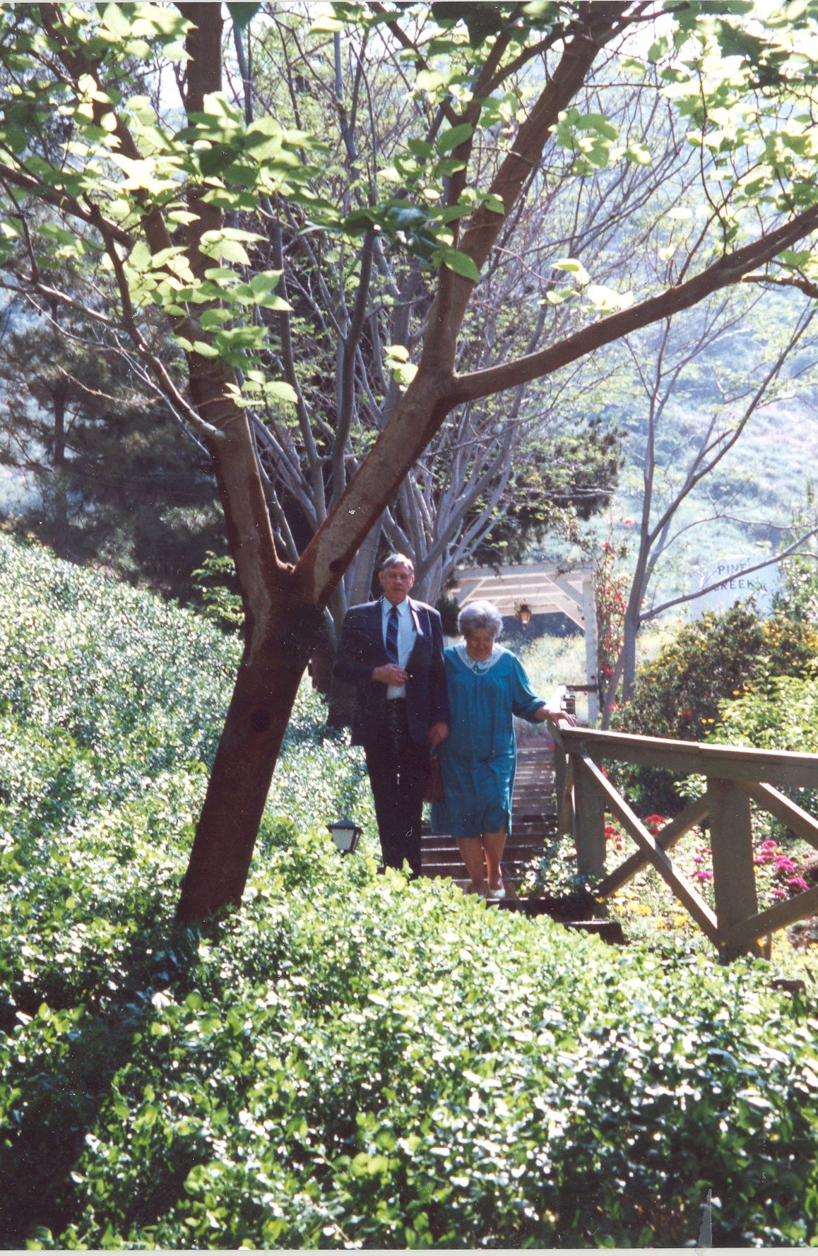 Obituary of Barbara Ann Bailey