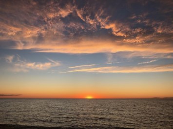 Obituario de Nancy Debra Ellis