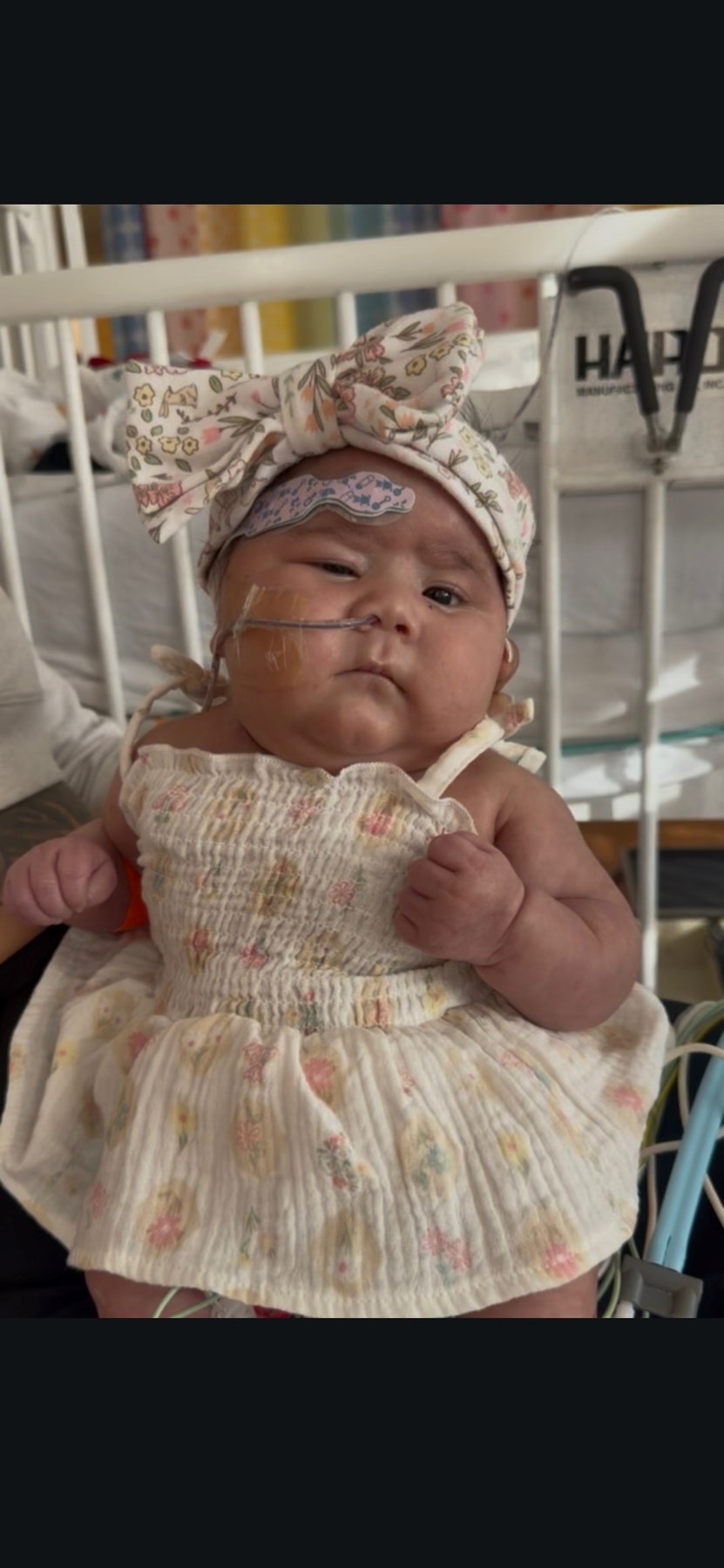 Obituary of Jhene Amor Lewis