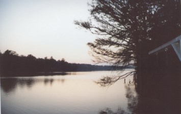 Obituary of Thomas James Louviere