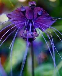 Obituary of Ann U. H. Reid