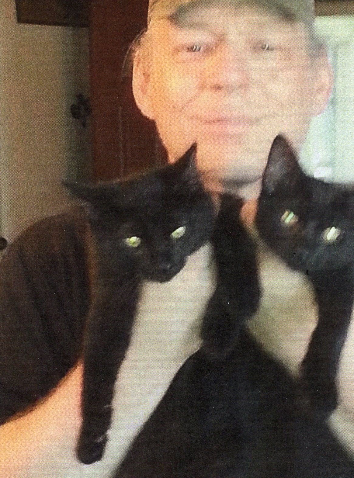 Obituary of William Stuart