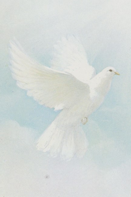 Obituary of Carmen O. del Toro