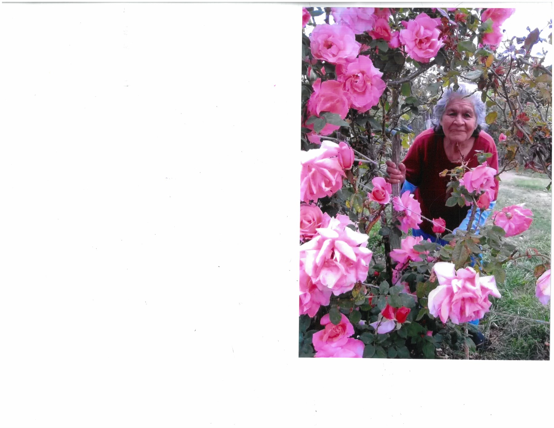 Obituary of Nicolasa M Ceja