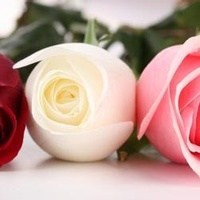 Obituary of Martha Parker