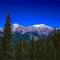 Obituary of Jack Nelson Rego