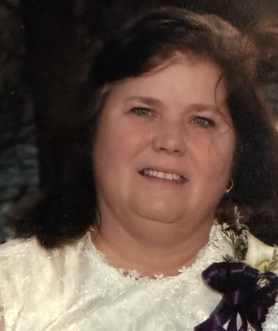 Obituary of Mrs. Debra Ann Stein