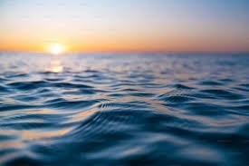 Obituary of Terry Jarod Bolar