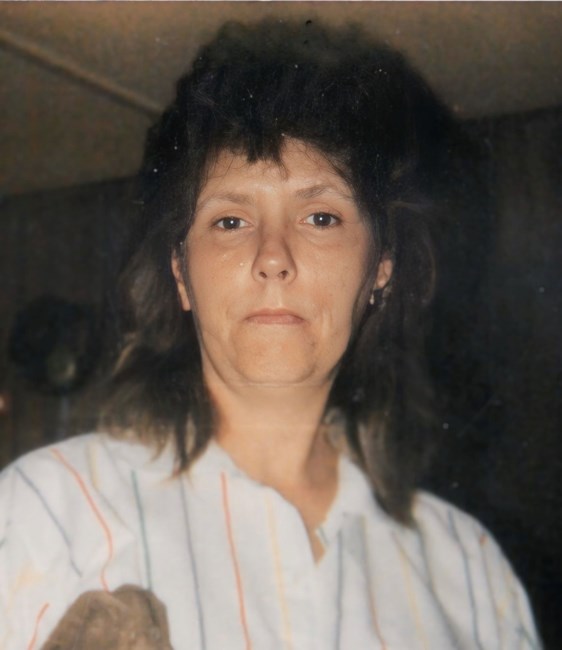 Obituary of Phyllis Jane Peek Hollyfield