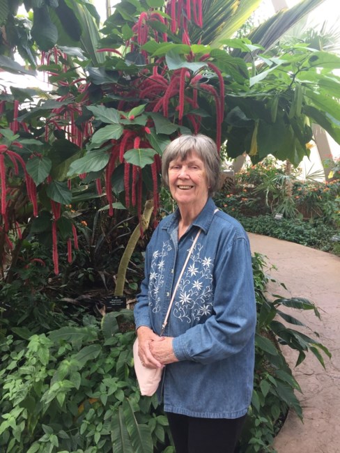 Obituary of Jean Irene Henault