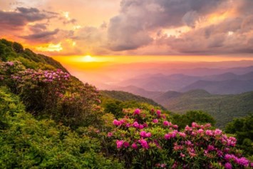 Obituary of Marlin Irvin Zwicky