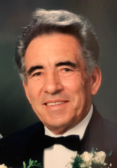 Obituary of Domenico Castelli