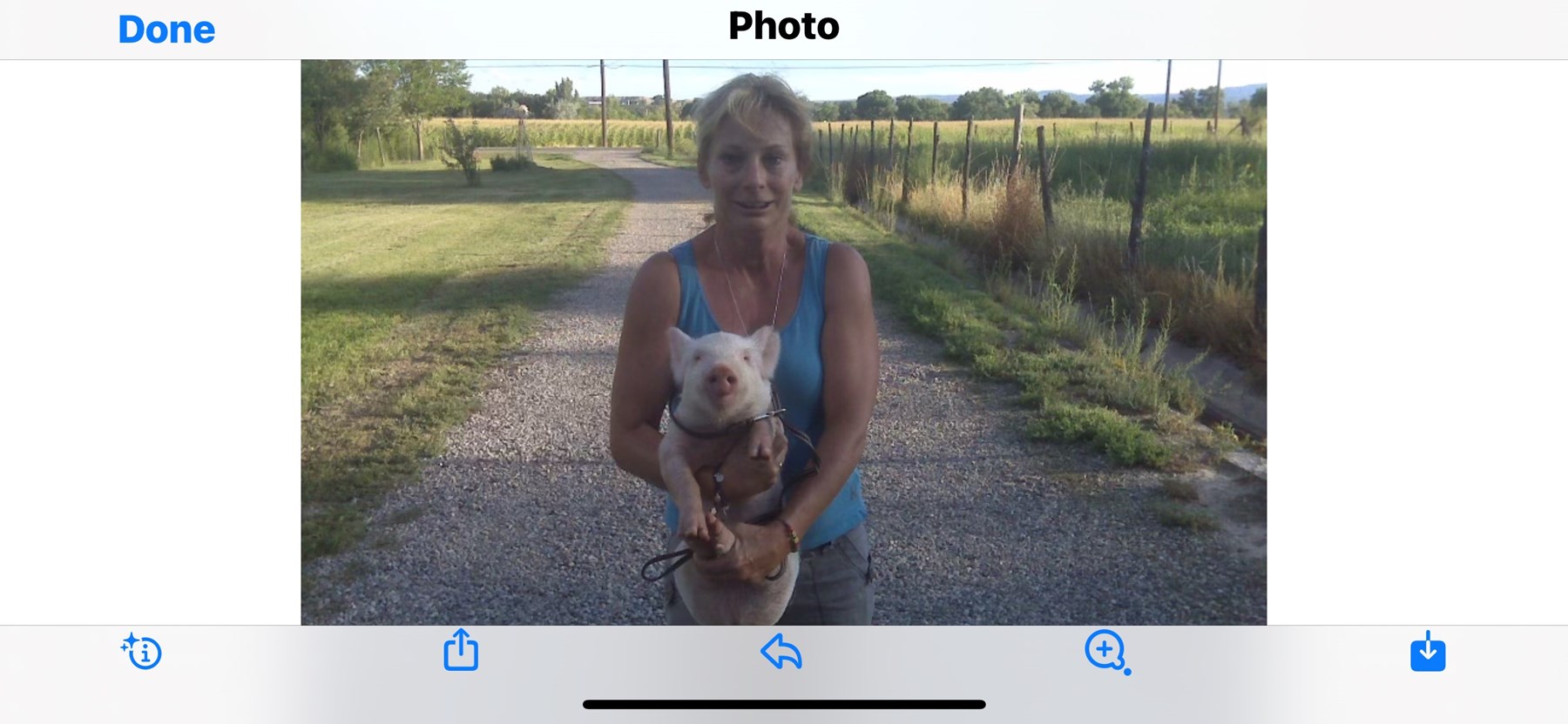 Obituary of Vicki L. Lucero