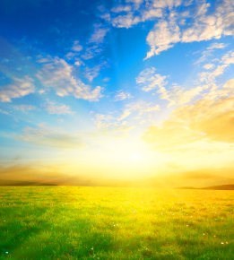 Obituary of Landry Chassagne