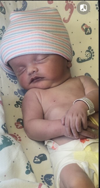 Obituary of Beaux Palmer