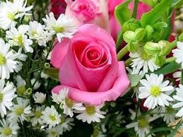 Obituary of Rose Mary Hobert
