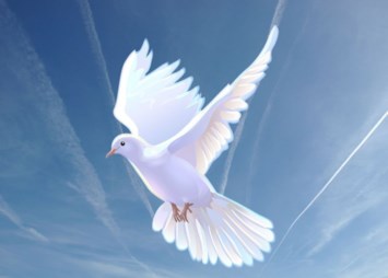 Obituary of Virgilio Mercado Olog