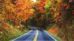 Obituary of Barbara L. Poe