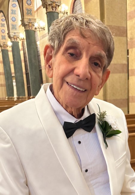 Obituary of Dr. Louis James Naman DMD