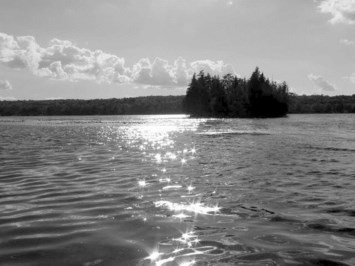 Obituary of Carmine Lacapra