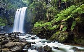 Obituary of Paul Hacker