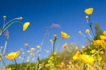 Obituary of Alfred Gobrecht Darrach Jr.