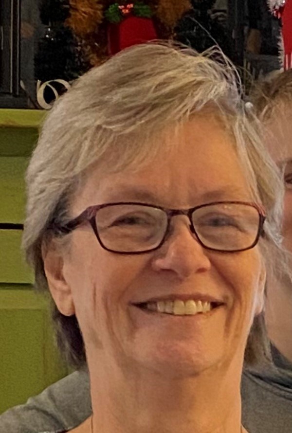 Julie a roelofs obituary holland mi