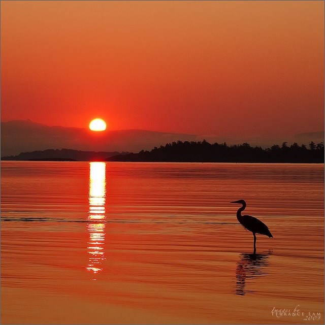 Obituary of Richard Bruce Barrett