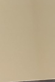 Patricia Zietlow Obituary Greenwood, AR