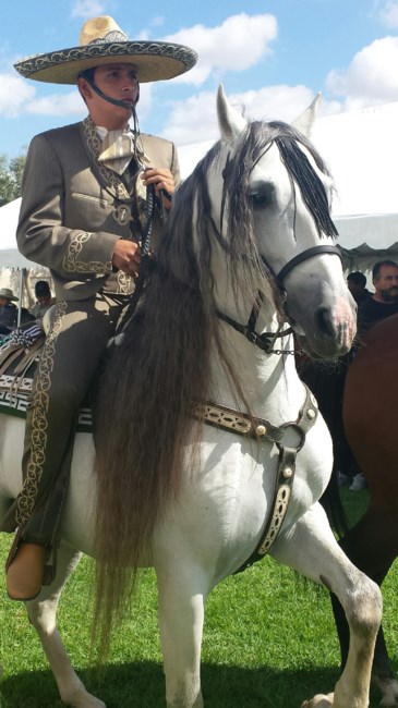 Obituario de Jorge Vargas