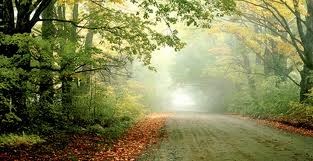 Obituary of James Daly Gaulon