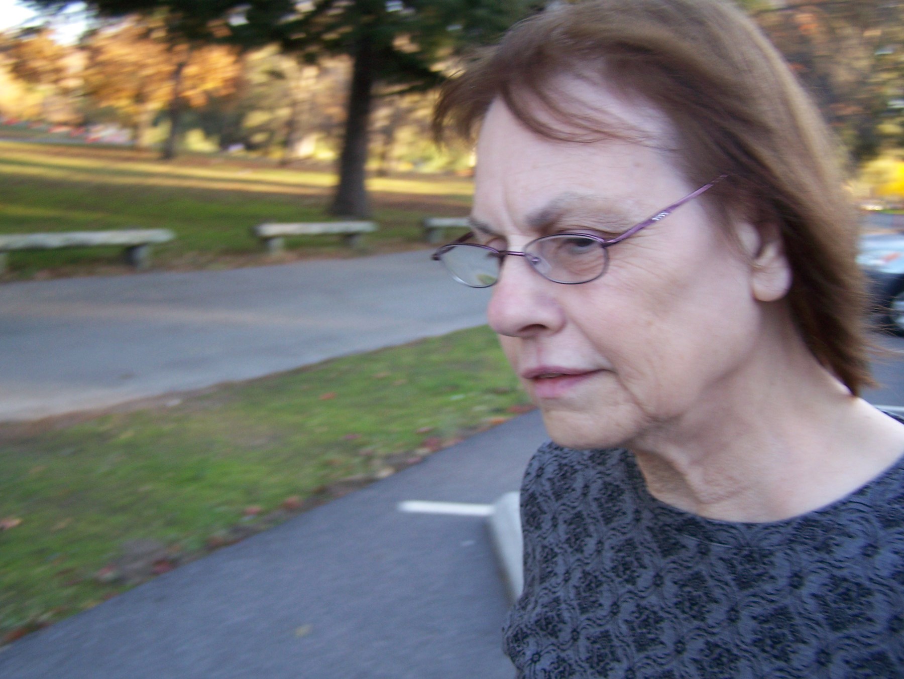 Obituary of Ann Ehrlich