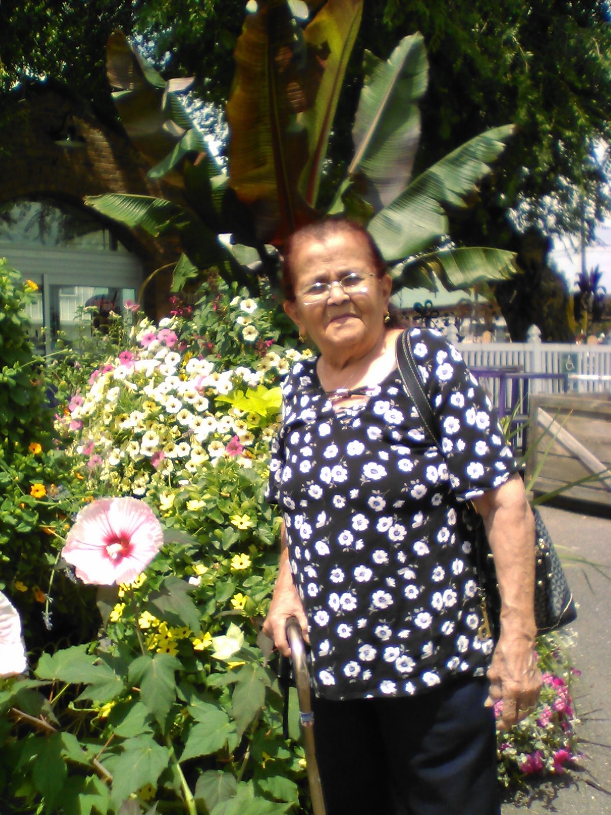 Obituary of Nicolasa Y. Martinez