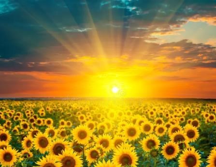 Obituary of Ruth Ann Wilkerson
