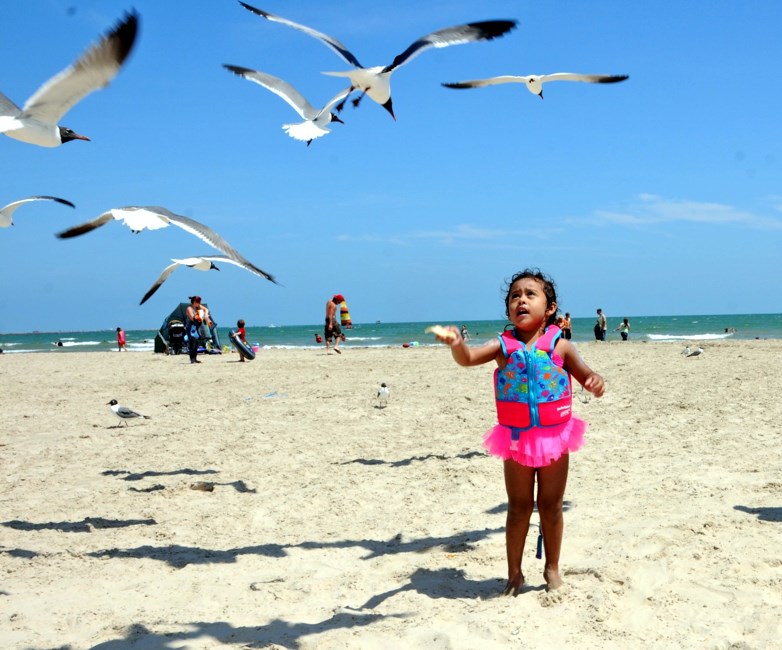 Obituary of Ana Garza Vazquez