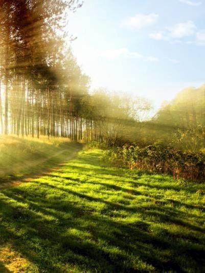 Obituary of Betty Marie Jones