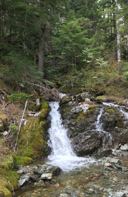 Obituary of Martin John Davis