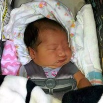 Obituary of Izabelle Marie Craig