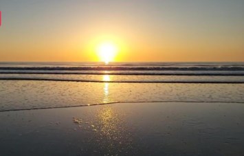 Obituary of John Joseph Fitzgerald