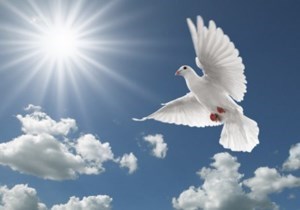 Obituary of Trinidad Soto