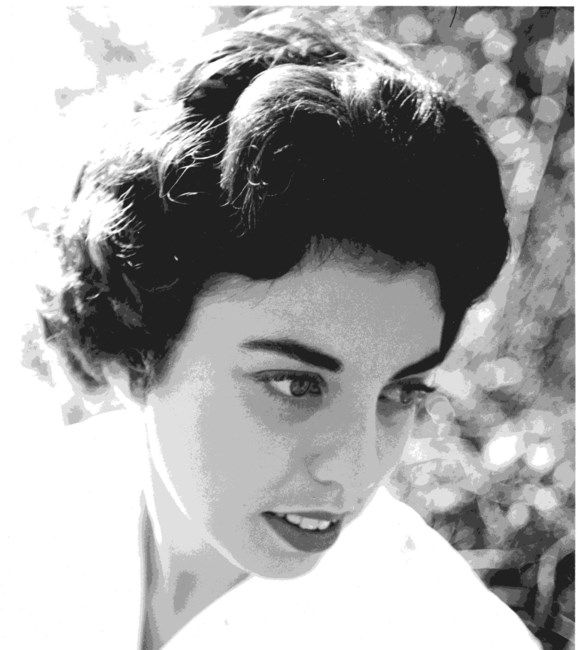 Obituary of Sandra Davis Haisten