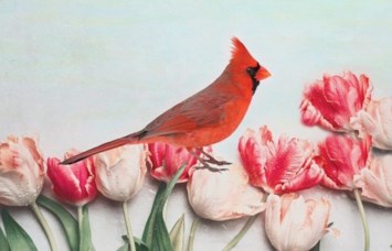 Obituary of Theodore "Ted" DePault