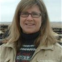 Obituary of Robin Coulter Lapaseotes