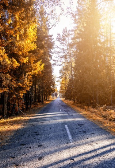 Obituary of Olen Dwayne Self