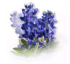 Obituary of Jackson Riley Hodges