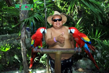 Obituary of Julian Brito Mendez